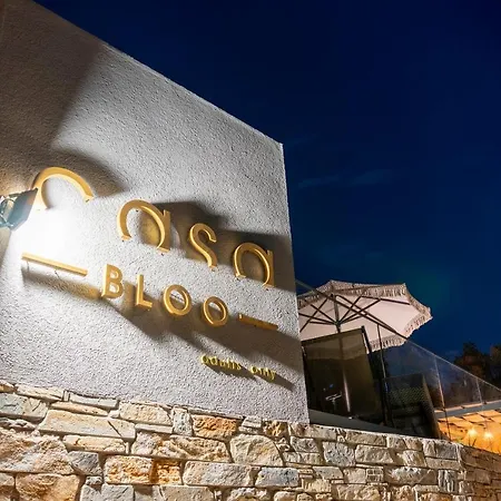Casa Bloo Adults Only Inn 2*