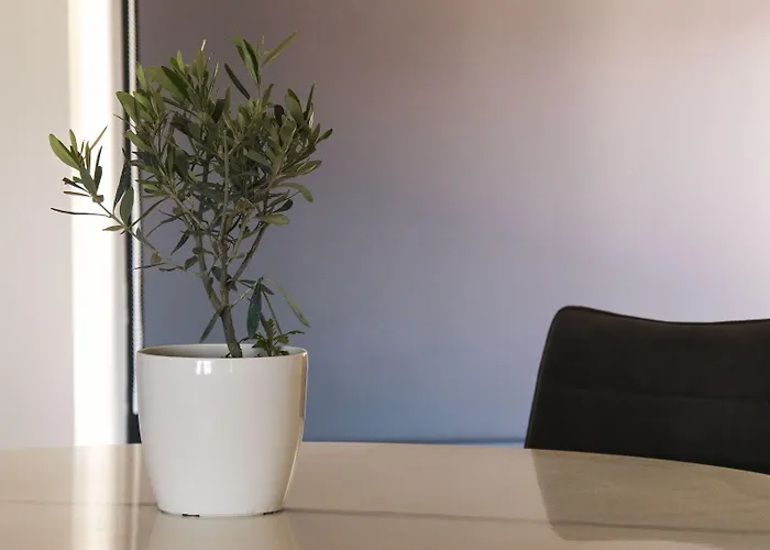 Casa Bloo Adults Only 4*