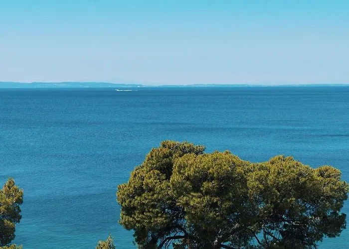 Casa Bloo Adults Only Estalagem