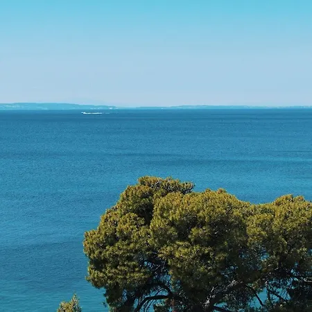 Casa Bloo Adults Only Han/Misafirhane